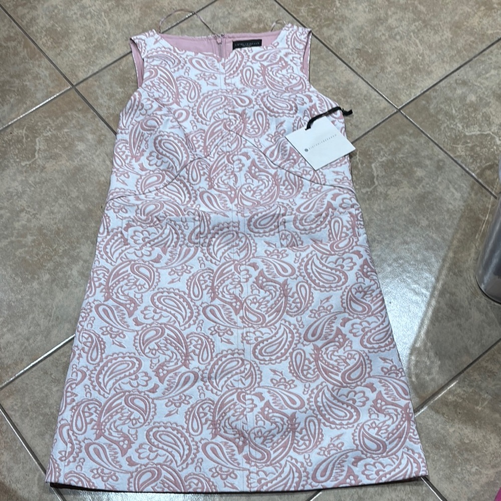 Victoria Beckham Pink and White  Dress